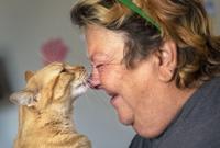 Top Journal Star photos for October