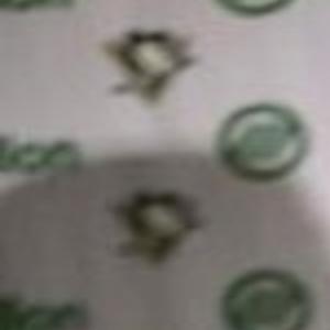 Lemieux Ownership Group Meet With Kansas City Officials Sports Journalstar Com