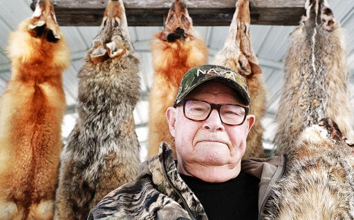 Nebraska man traps animals for about 70 years