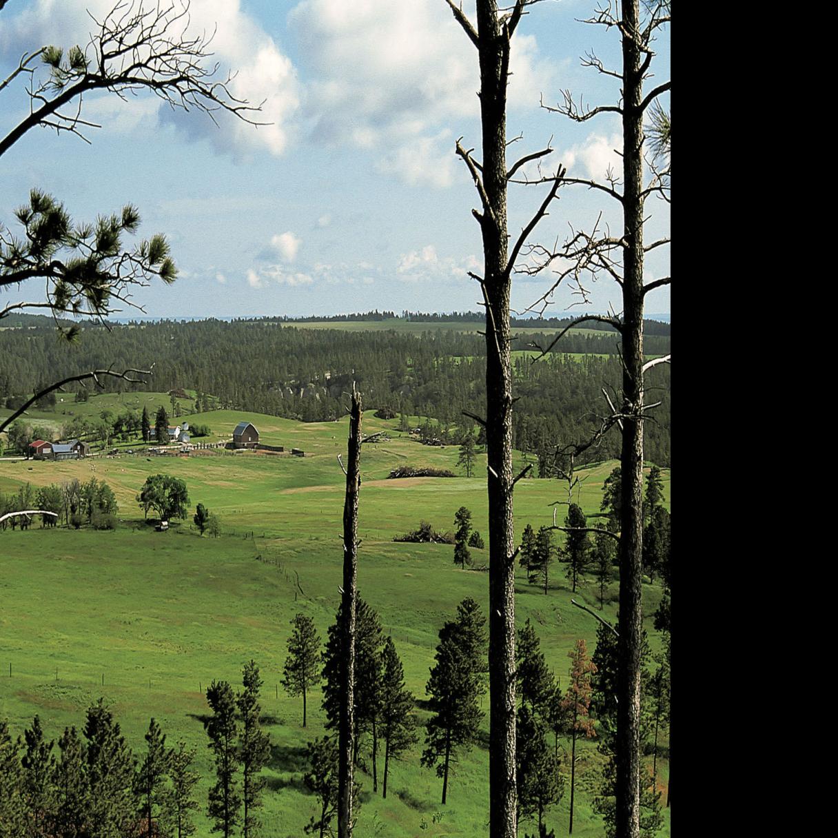 Aerial Project Mapping Trees In Northern Plains Nebraska