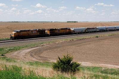 072925-owh-new-train-nf-01.JPG