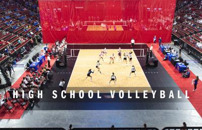 High school volleyball logo