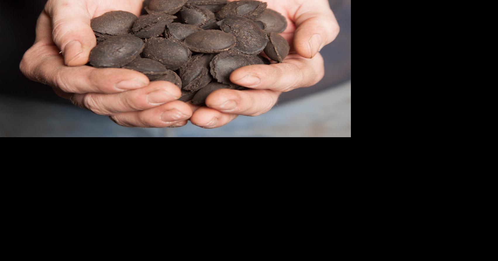 Company to evaluate turning farm waste into biocoal