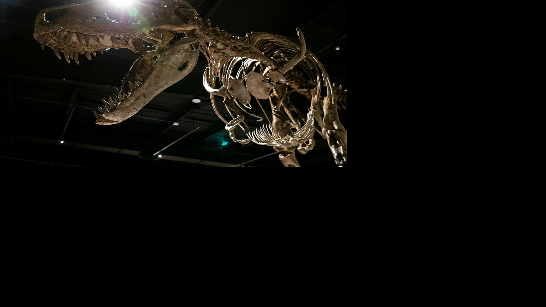 t rex exhibit near me