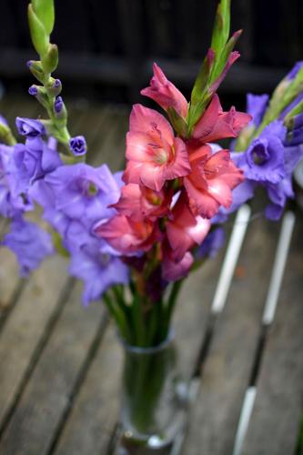 glads