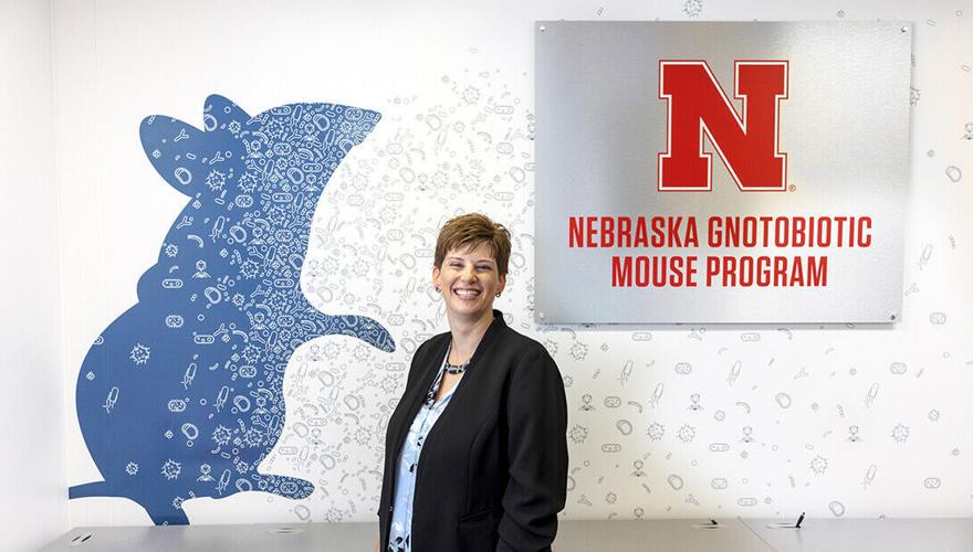 Nebraska researchers link gut microbe to cancer-fighting immune response