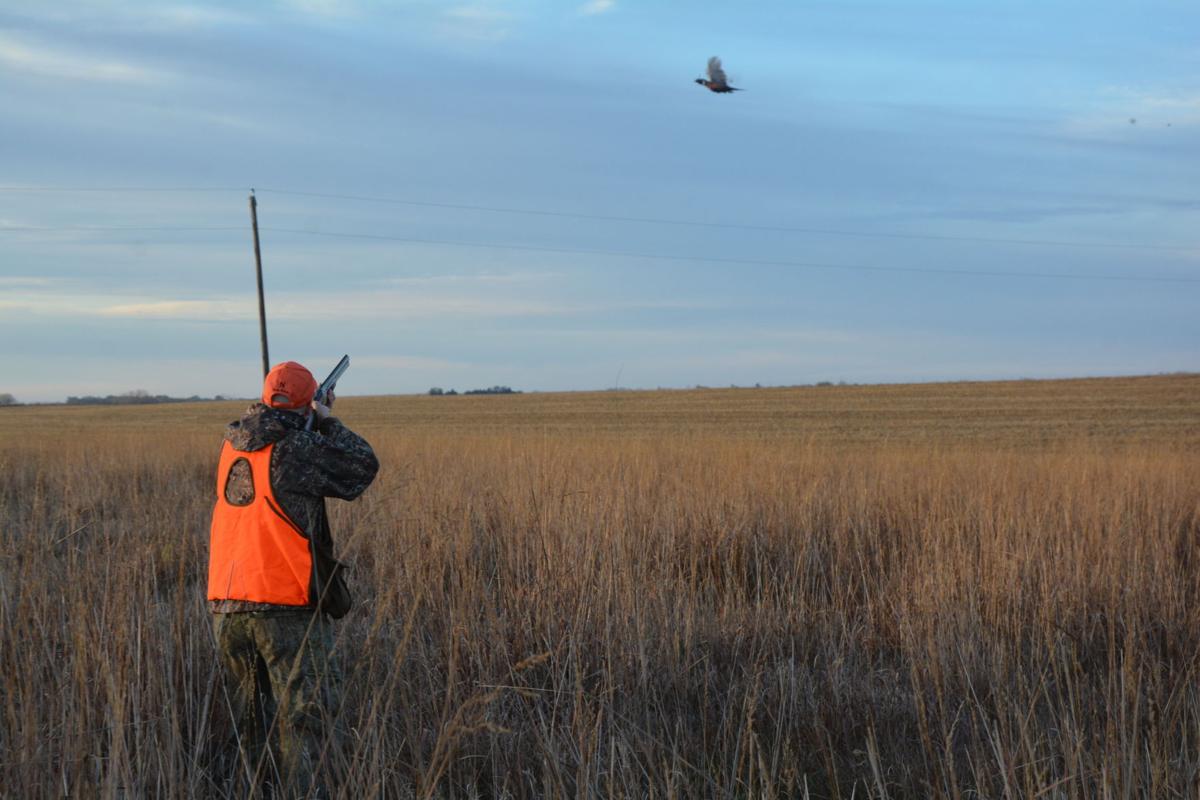 Governor's Hunt