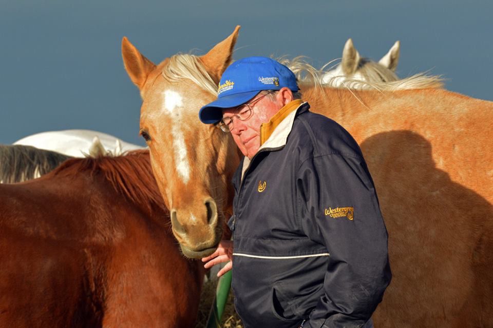 Lincoln horse breeder finds success in barrel racing circles Local