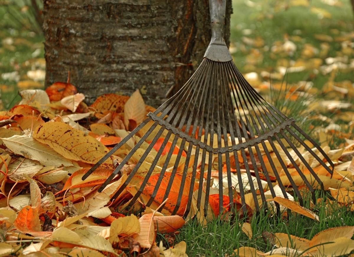fall
