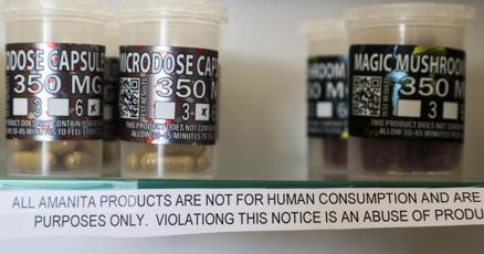 Moodaltering mushroom sales bloom despite safety concerns Moodaltering mushroom sales bloom despite safety concerns