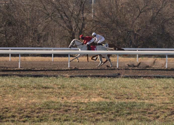 Horse race, 10.31