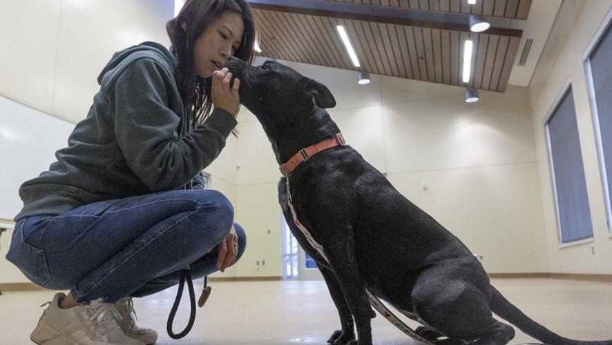 Humane Society, 1.9