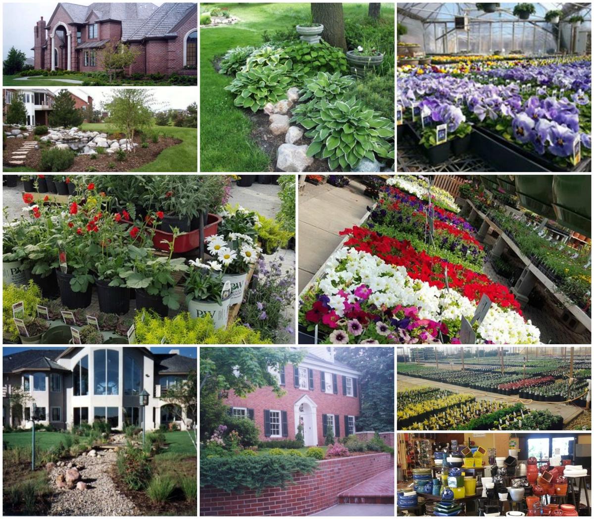 Campbell's Nursery Lincoln