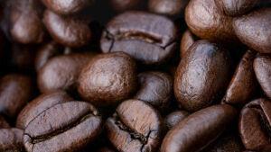 Lab-grown coffee could someday replace traditional beans