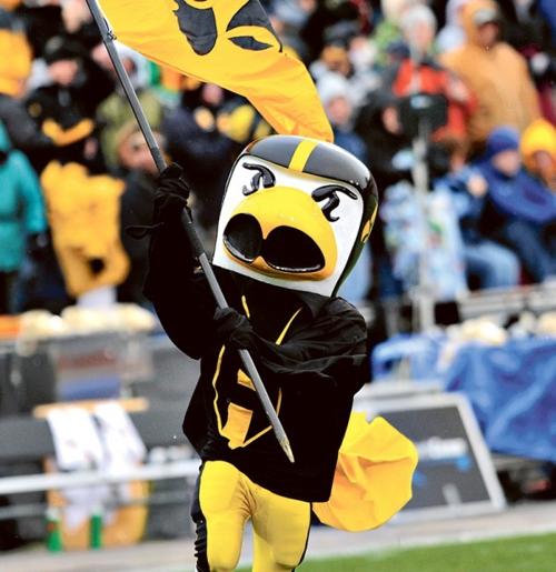 Herky the Hawk | | journalstar.com