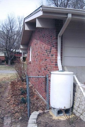 Rain Barrel
