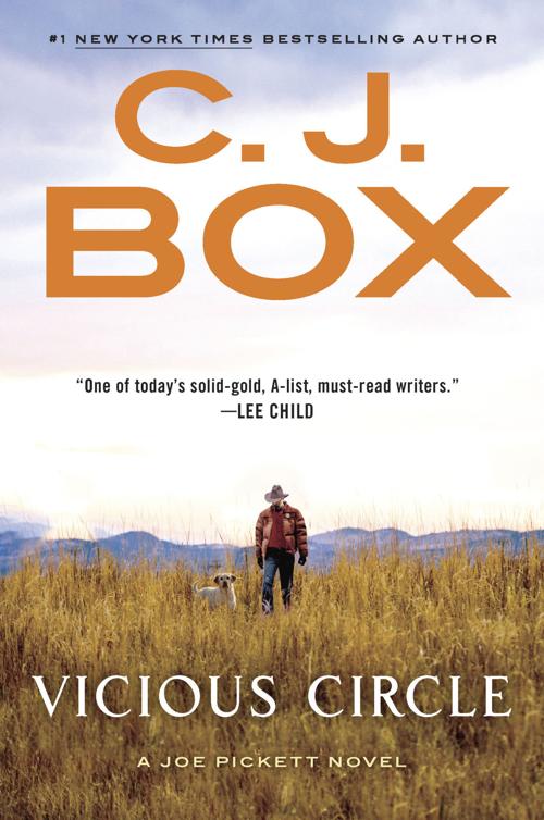 Vicious Circle book cover