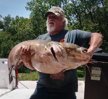 Record catfish