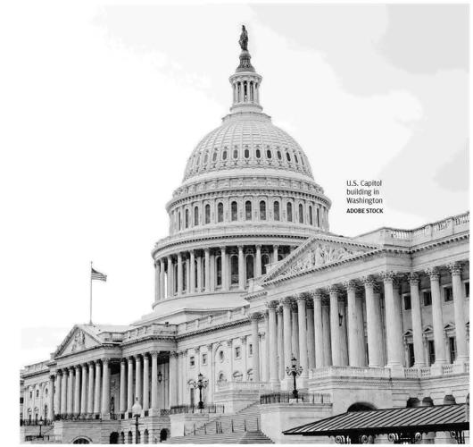 SENATE IN PLAY