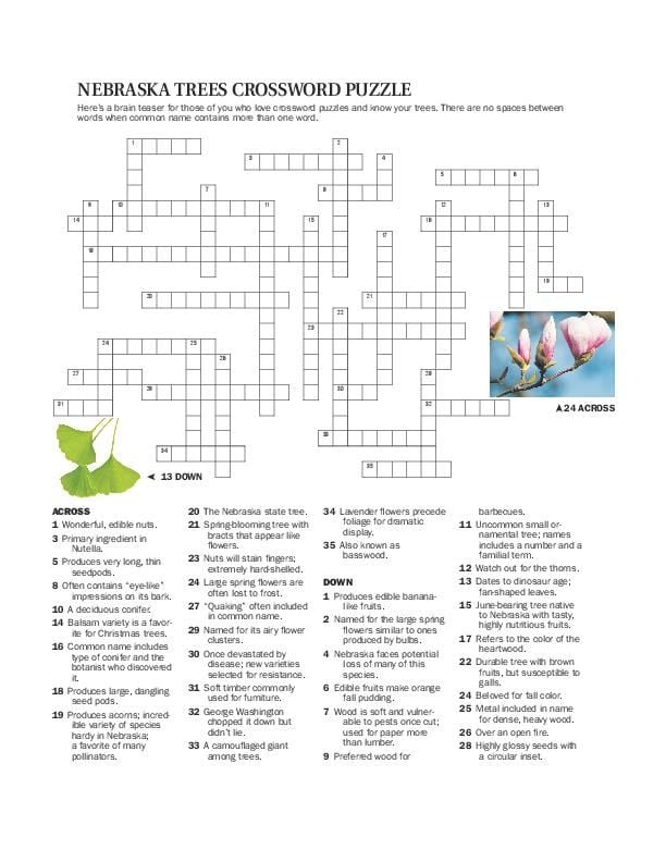 Be A Pest To Crossword Clue We are happy to help you to enjoy your