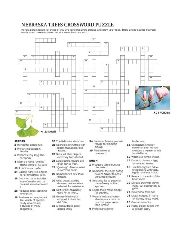 Crossword puzzle & clues