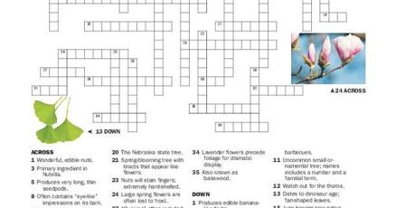 Crossword puzzle & clues | | journalstar.com