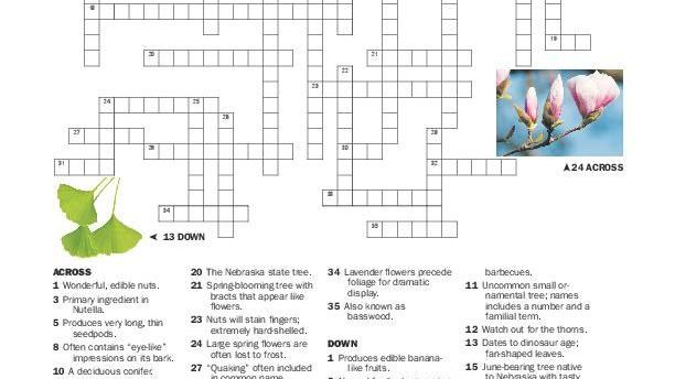 crossword puzzle clues journalstar com
