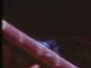 Hendrix Legacy Juiced Up Flea Unhappy Business Journalstar Com