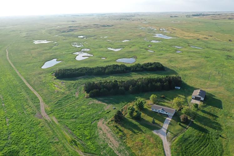 Sandhills R-Project