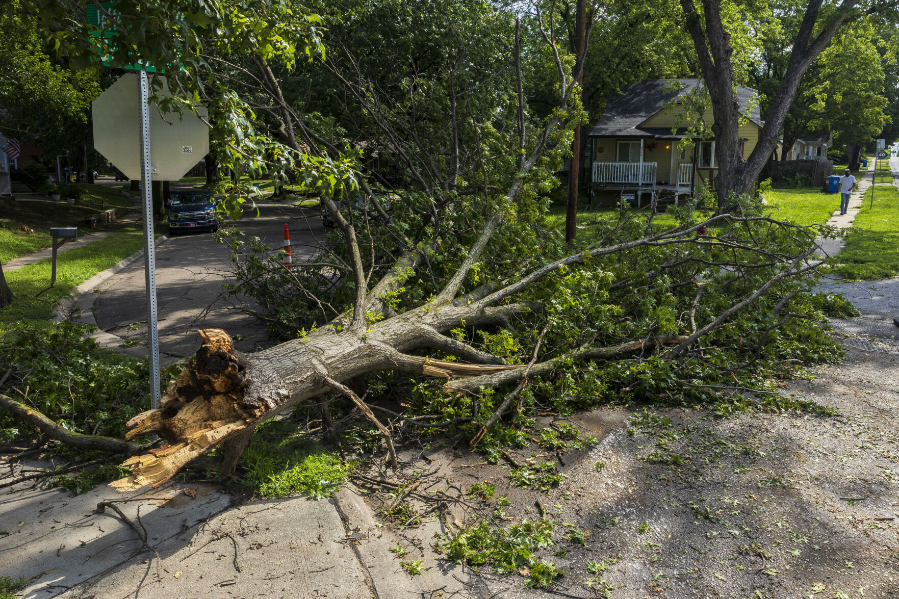 Overnight storm downs trees, knocks out power in Lincoln