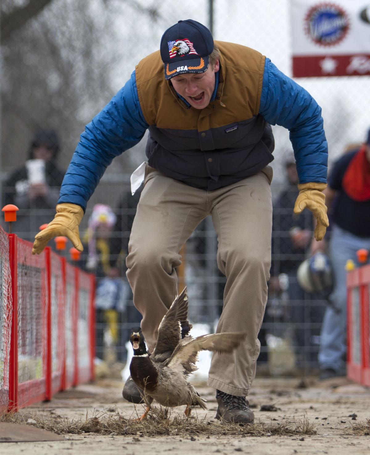 Photos QuackOff duck races Photo galleries