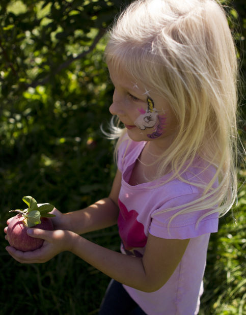 applejack festival 2021
