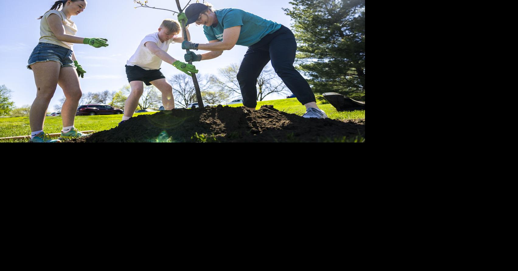 You know about Arbor Day but what you don't know about trees will stump you DENNIS RUDNER Lincoln Journal Star Apr 22, 2026
