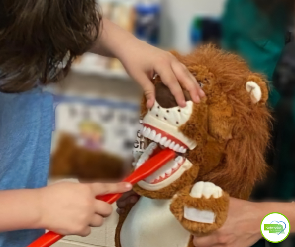 Nebraska Family Dentistry for Children animal