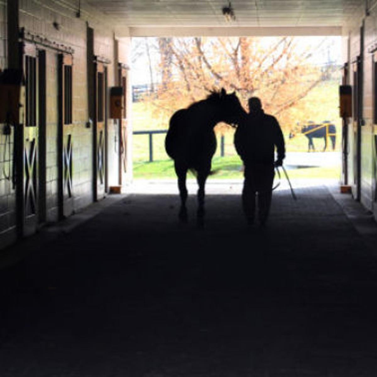 Travel Lexington Ky Lives Up To Its Reputation Misc Journalstar Com