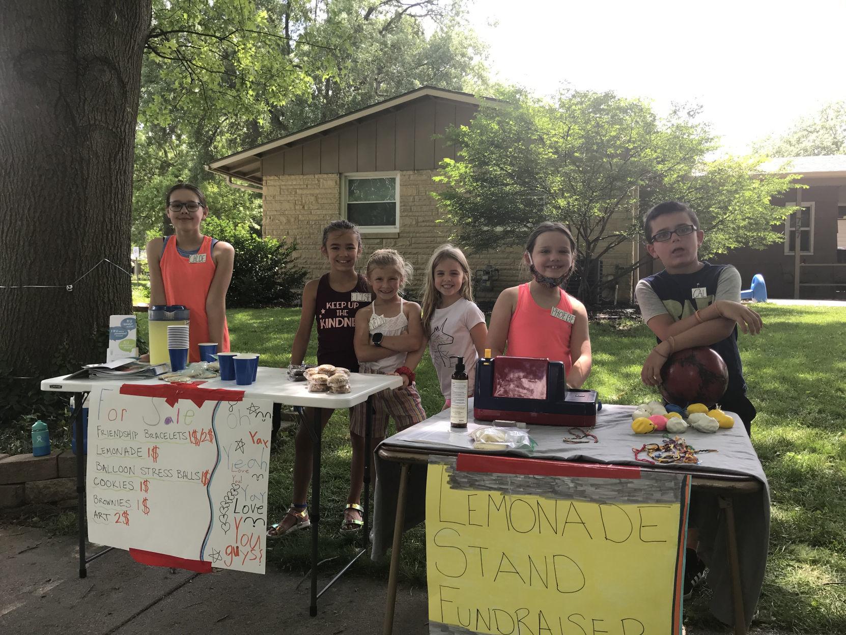 Neighborhood Lemonade Stand Raises Money For Centerpointe Neighborhood Extra Journalstar Com