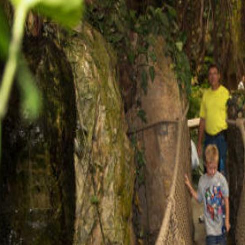 Henry Doorly Zoo named best zoo in the world | Nebraska News ...