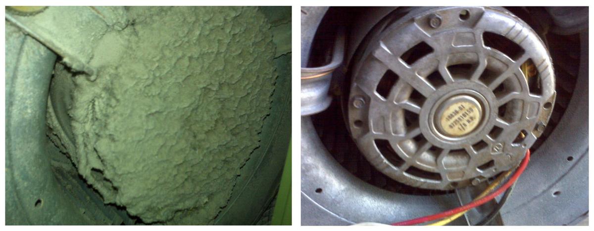 Before After 4.jpg