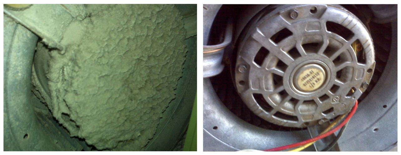 Before After 4.jpg