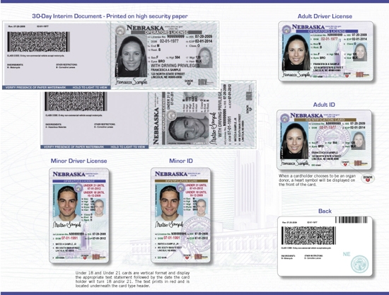 Driver Licensing Services, Nebraska DMV