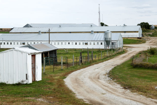 Planners Ok Expansion Of Poultry Farm Near Waverly Local