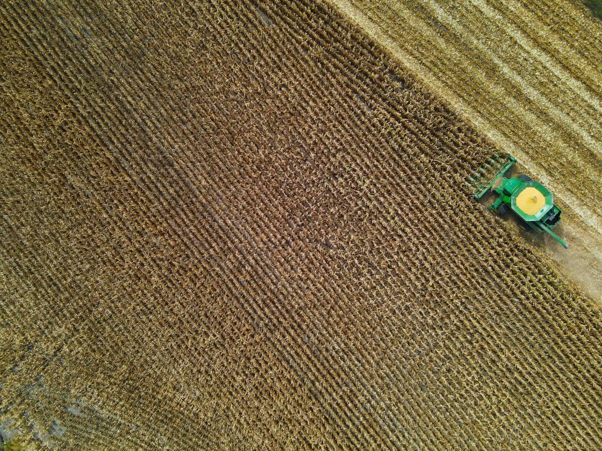 Agriculture