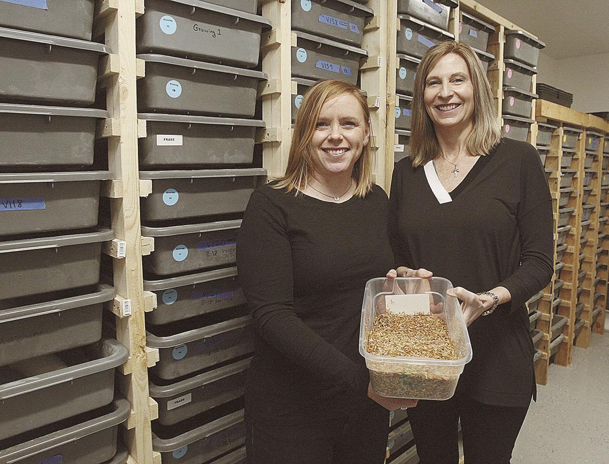 Nebraska entrepreneurs launch insect protein business