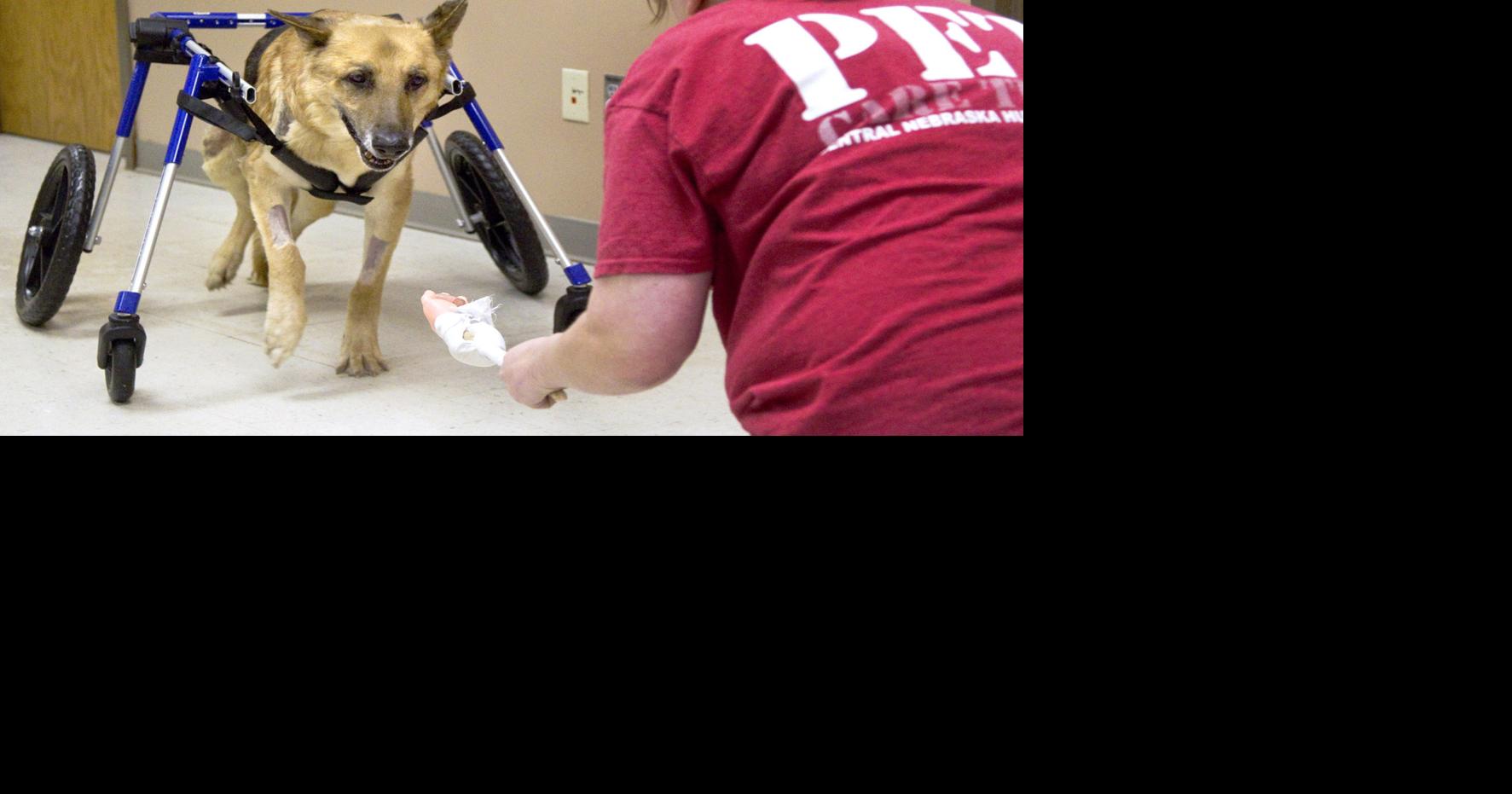 Nebraska humane society assists animals with special needs