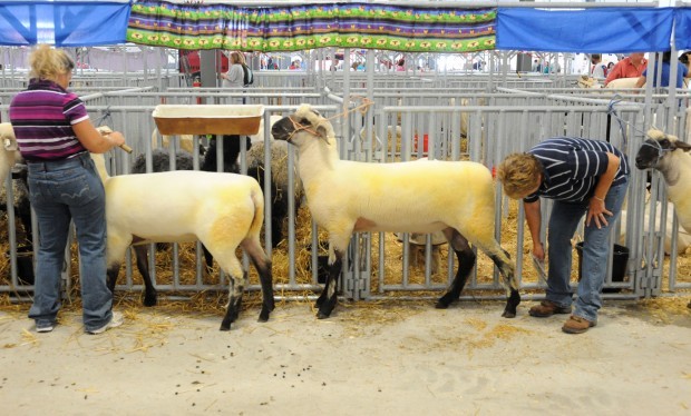 Nebraska State Fair, Day 2