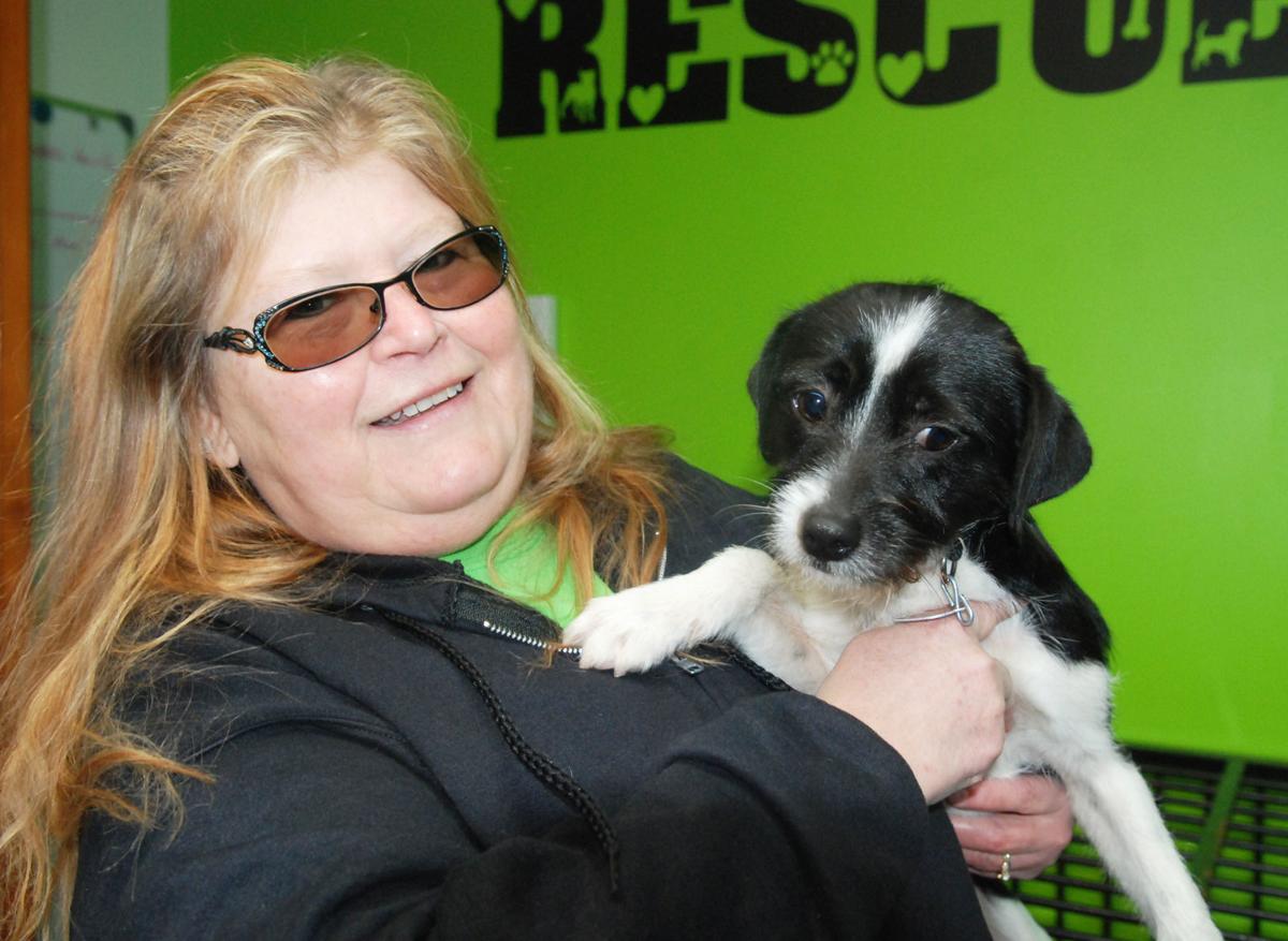 Furever Home Rescues Dogs In Memory Of Former Fremont Man Nebraska News Journalstar Com