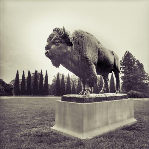 Bison sculpture at Pioneers Park