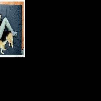Stop dogs from waking owner