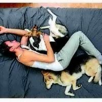 Stop dogs from waking owner