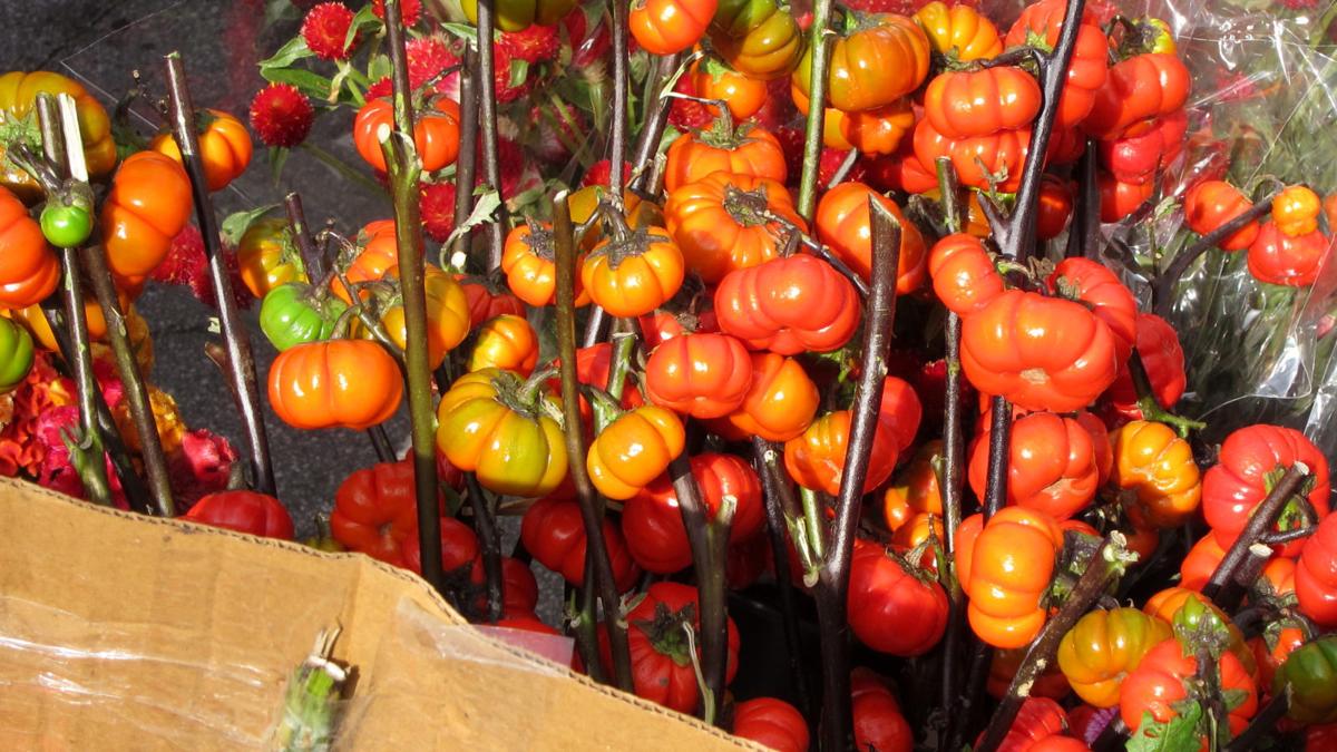 Sarah Browning: Pumpkin-on-a-Stick anyone? | Home and ...